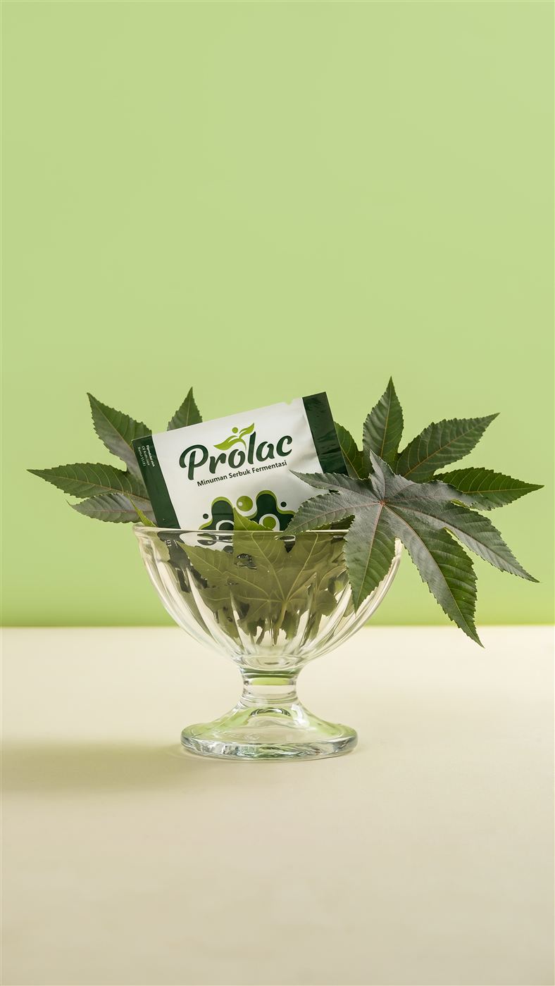 Sachet Prolac di mangkuk kaca berisi dedaunan